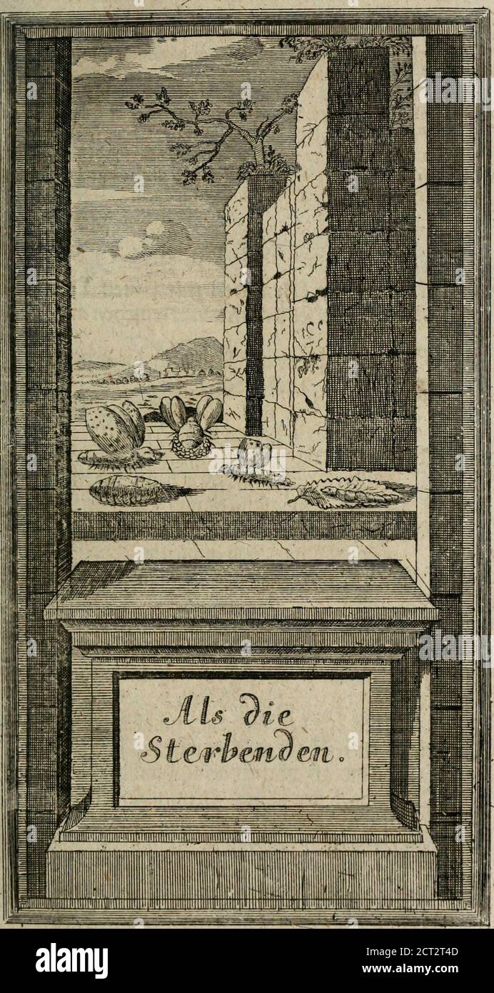 . Des Hochreleuchteten Sel. Johann Arndts, General-Superintendentens des Fürstenthums Lüneburg, Fünff geistreiche Bücher, vom wahren Christenthum ... : Welchen noch beygefüget drey andere kleine Bücher welchen zu des sel. Joahnn Arndts wahren Christenthum gehörig .. . * eeelen unb £c4be muffin befyalttn werben unftraflid) auf bii 3u? funfft unfern ^^rrn 3€fu ^rifti. £>u bift bie ^iebe, heilig» leit/Svemitfeit/^anfirmutt) unb gan§ guti pad;e mtcb bir tag» lieb. t>4   anbete 2€ t!cf>, €ap* VU pag. 343 £tcr ftnb etliche &txbcnn ber neue €ienfd) lebenfoir, fo mu§ ber äffe ausgesogen roerfcen Foto Stock