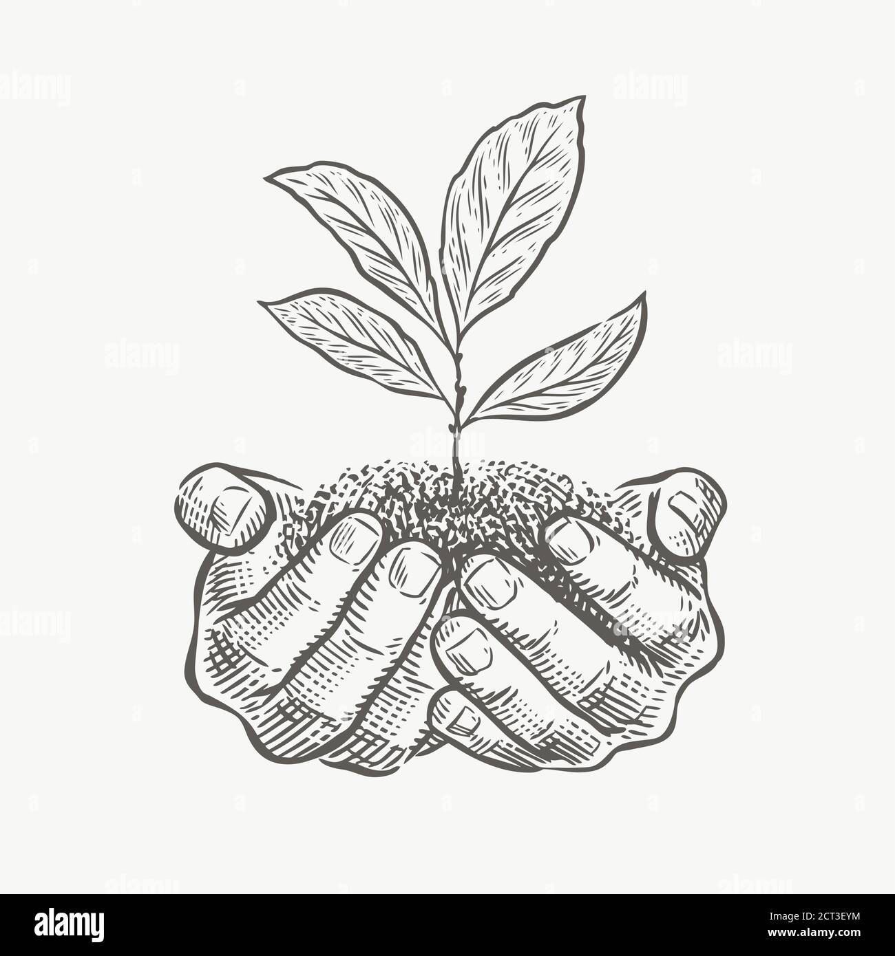 Illustrazione vettoriale dello schizzo di mani e piante. Protezione dell'ambiente, concetto aziendale Illustrazione Vettoriale