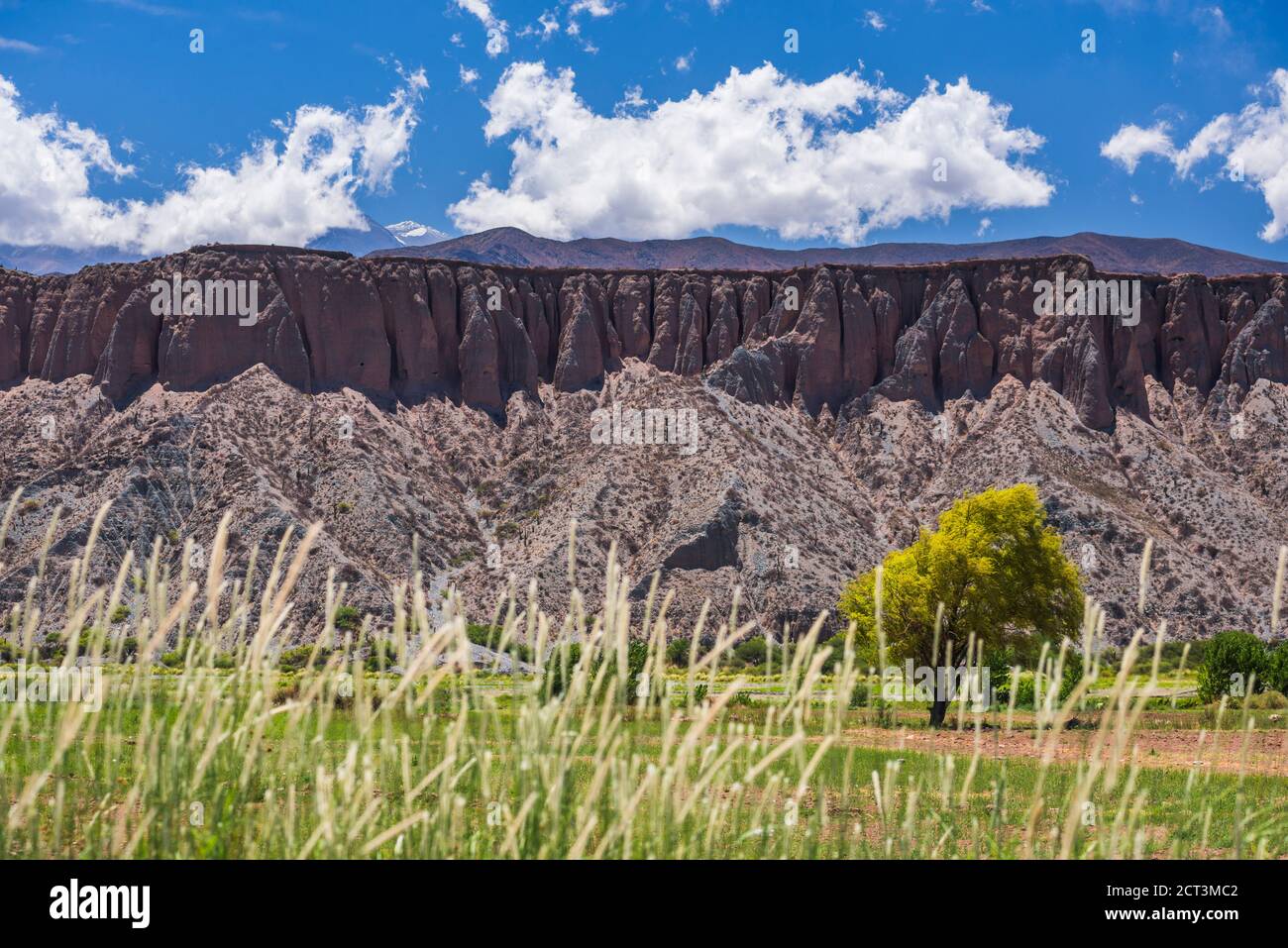 Cachi Valley, Calchaqui Valli, Provincia di Salta, Argentina del Nord, Sud America Foto Stock