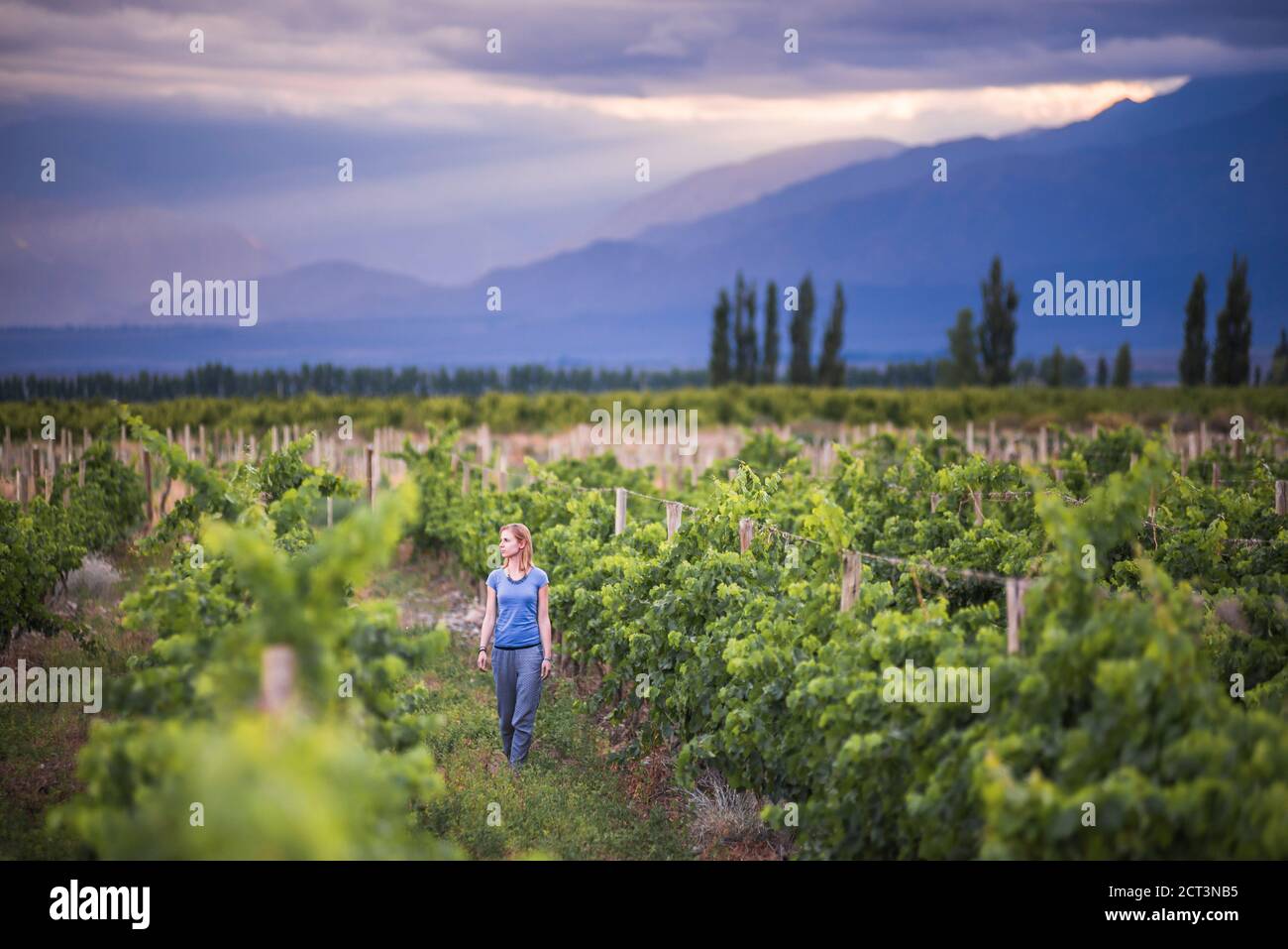 Donna nei vigneti delle Ande in vacanza con degustazione di vino in una cantina nella Valle di Uco (Valle de Uco), una regione vinicola nella provincia di Mendoza, Argentina, Sud America Foto Stock