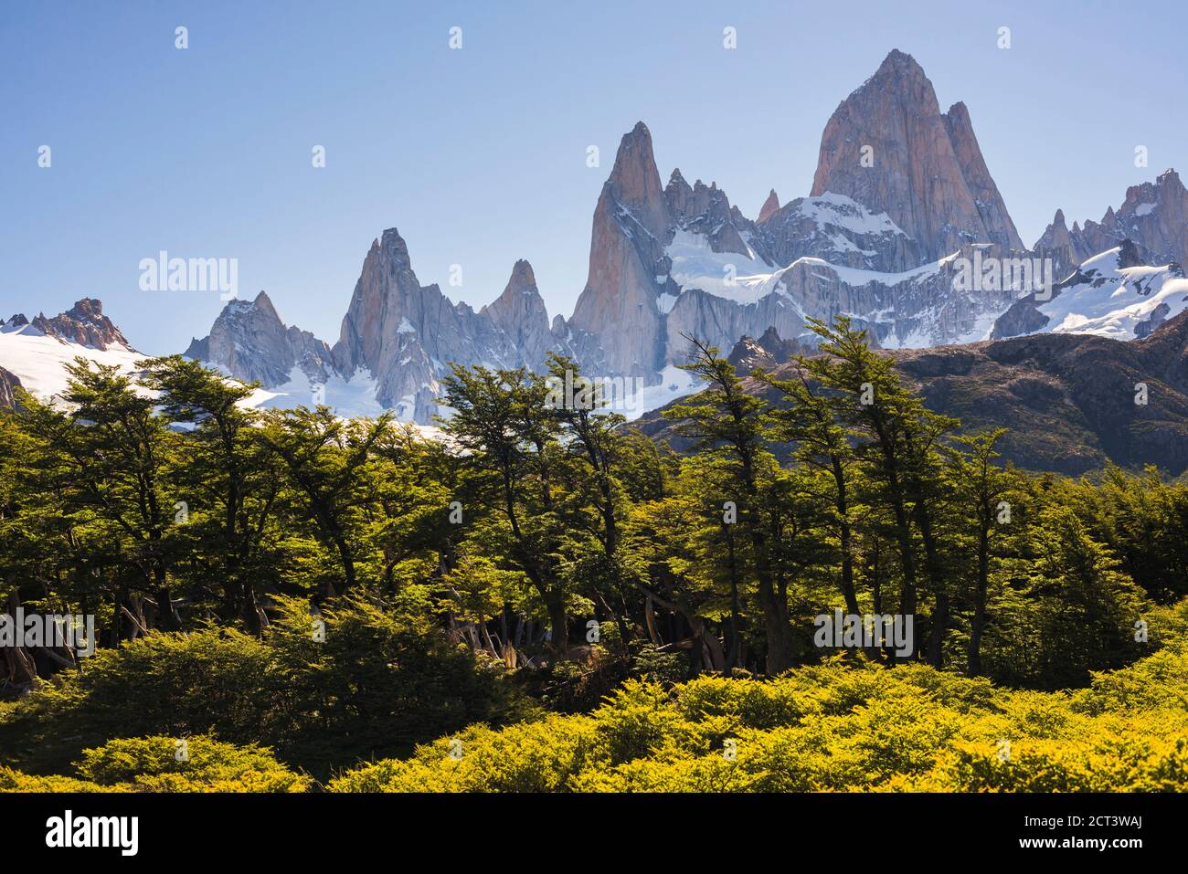 Monte Fitz Roy (aka Cerro Chalten), Parco Nazionale Los Glaciares, El Chalten, Patagonia, Argentina, Sud America, sfondo con spazio per la copia Foto Stock