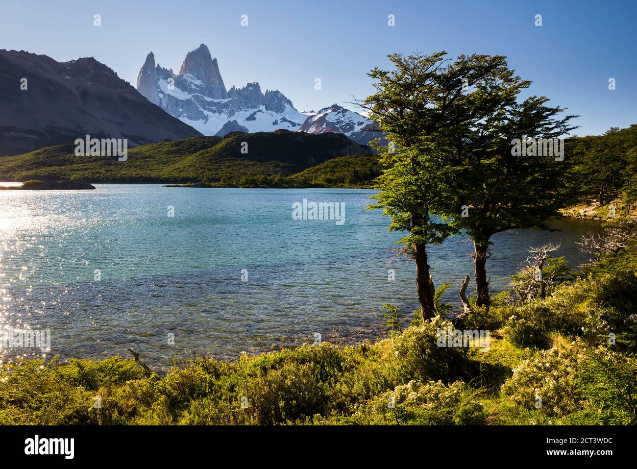 Laguna Capri e Monte Fitz Roy alla luce della sera, El Chalten, Patagonia, Argentina, Sud America Foto Stock