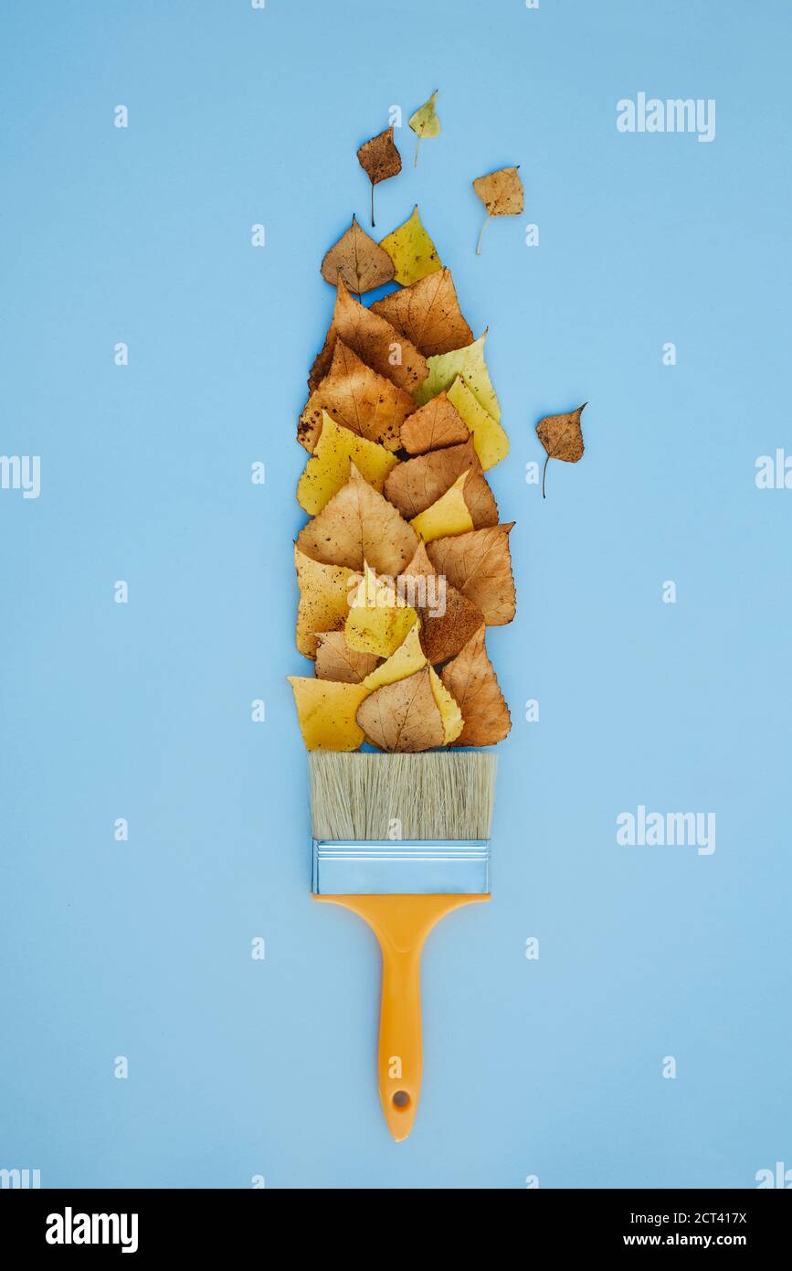 Pennello disegna con vernici da foglie, concetto creativo di caduta foglia autunno Foto Stock