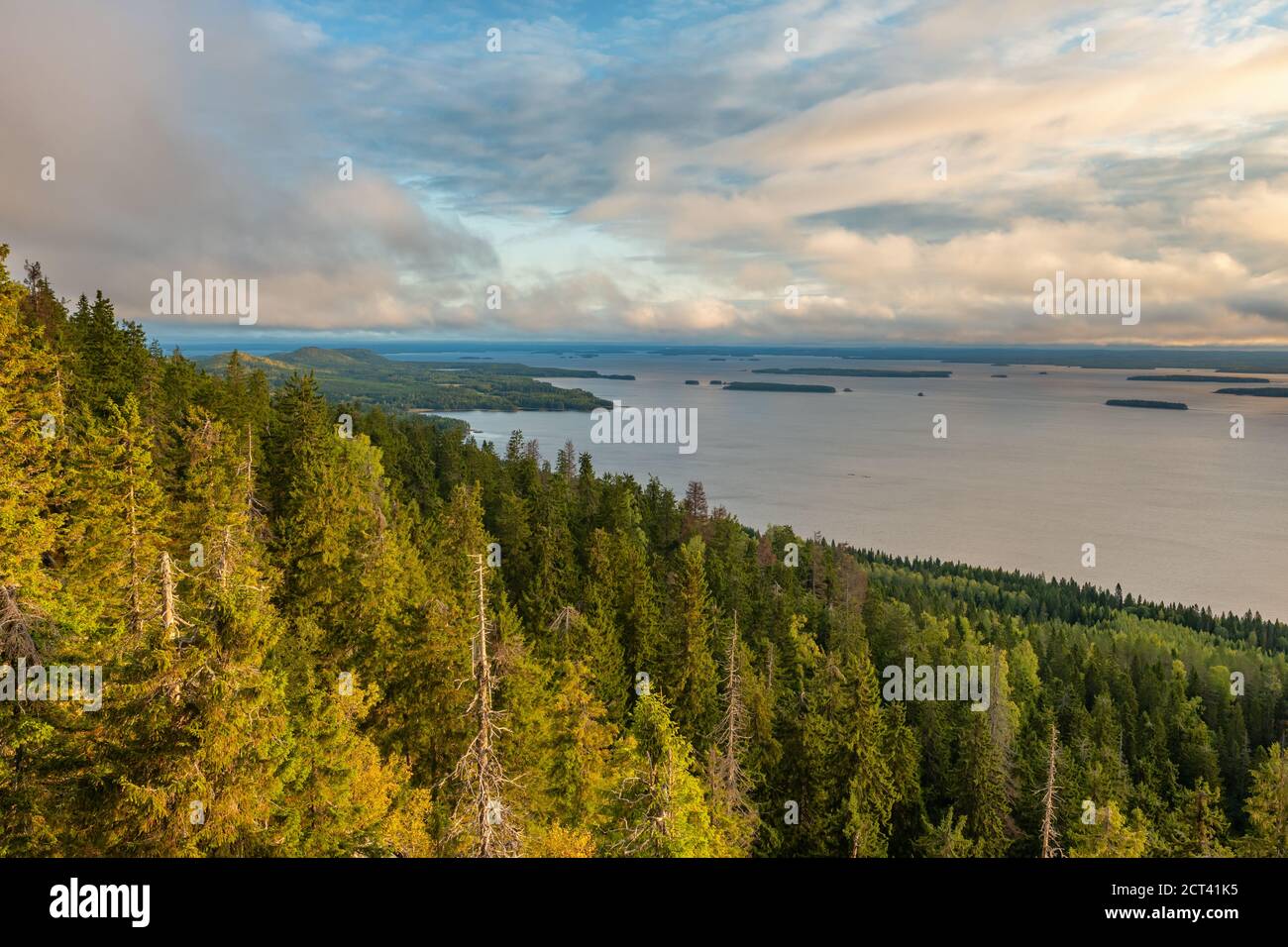 Bellissimo paesaggio naturale nel parco nazionale di Koli in Finlandia Foto Stock