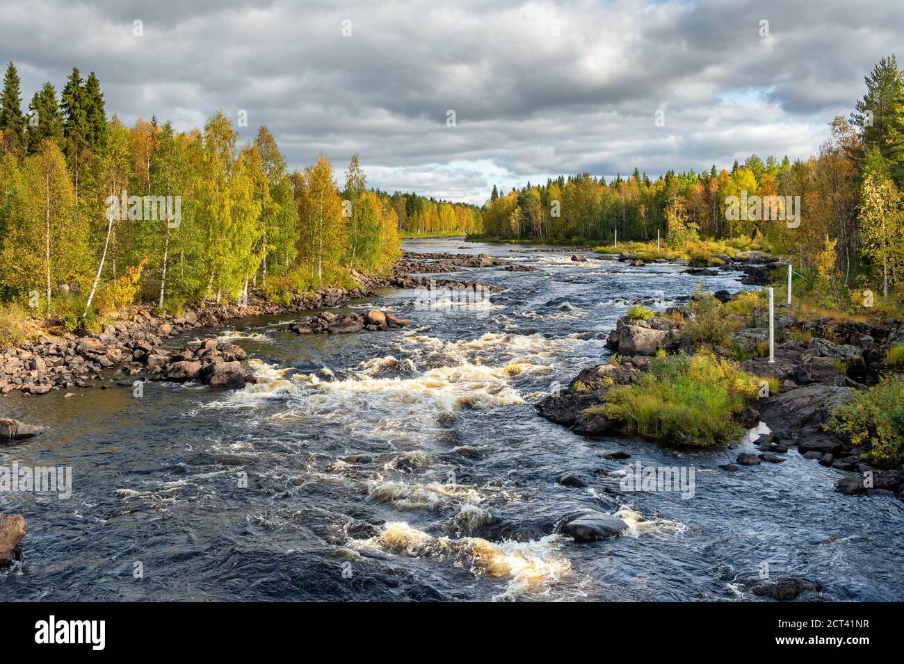 Splendido paesaggio autunnale con fiume ad acqua rapida e foglie gialle foresta Foto Stock