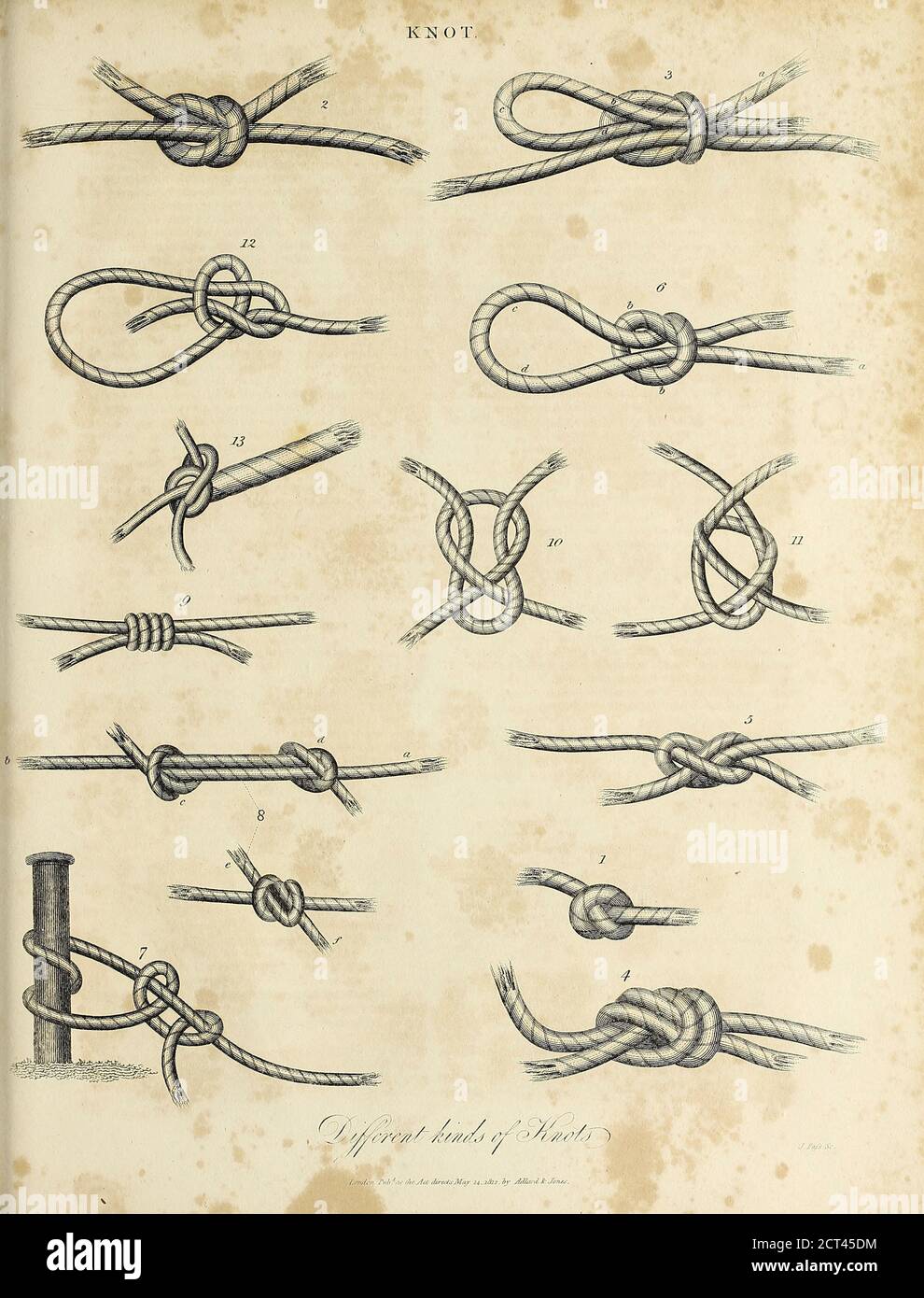 Illustrazione di una serie di nodi diversi. Incisione su copperplate dall'Enciclopedia Londinensis OR, dizionario universale di arti, scienze e letteratura; Volume XI; a cura di Wilkes, John. Pubblicato a Londra nel 1812 Foto Stock