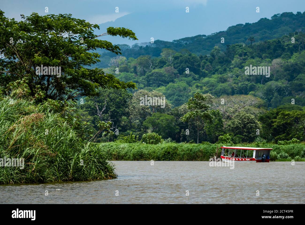 Gita turistica in barca sul fiume Tarcoles, Parco Nazionale di Carara, Provincia di Puntarenas, Costa Rica Foto Stock