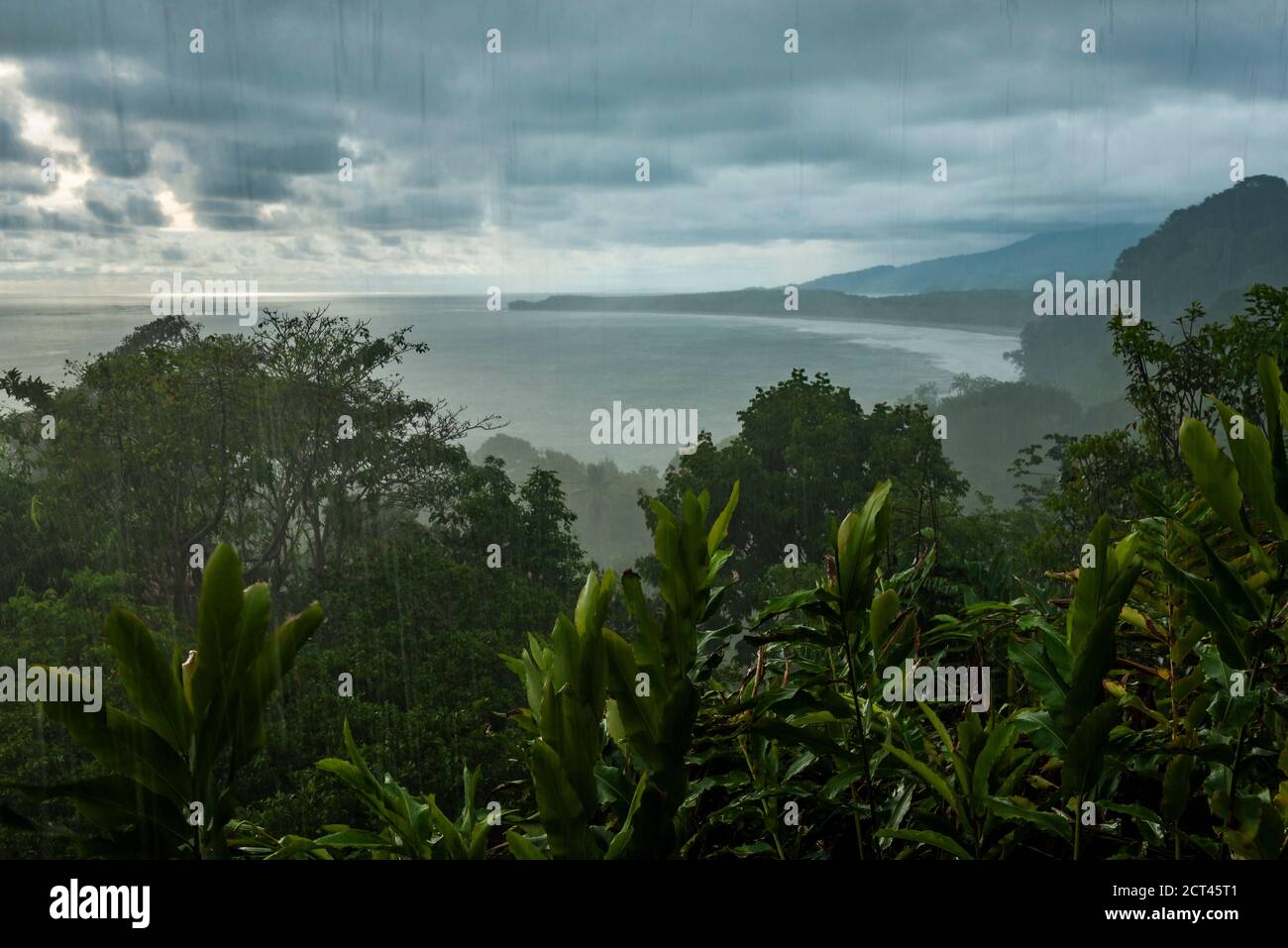Tempesta di pioggia torrenziale nella foresta pluviale di Uvita, provincia di Puntarenas, Costa pacifica della Costa Rica Foto Stock