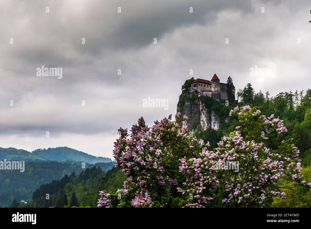 Lago di Bled Castello, Slovenia in Bled, Alpi Giulie, Gorenjska, alta Carniola Regione, Slovenia, Europa Foto Stock