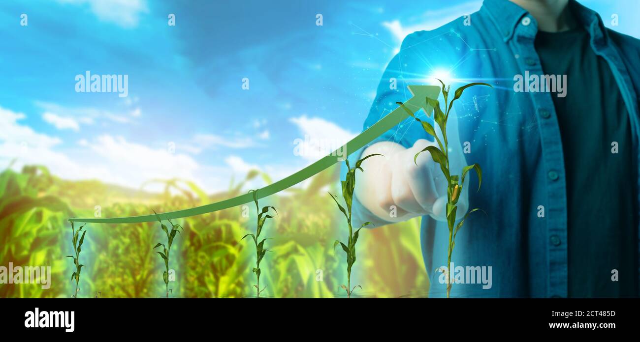 Concetto di tendenza tecnologica futuristica di agricoltura intelligente. Coltivatore usa intelligenza artificiale per aumentare il tasso di crescita della resa di raccolto, monitorare raccolto Foto Stock