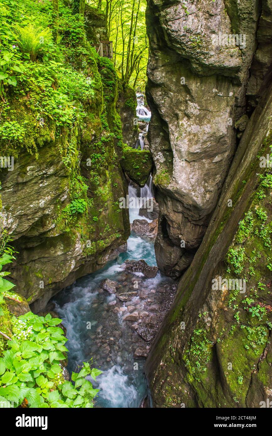 Gole di Tolmin, Slovenia. "Bears Head", un ponte naturale che attraversa il canyon del fiume Zadlascanica, il Parco Nazionale del Triglav, Slovenia, Europa Foto Stock
