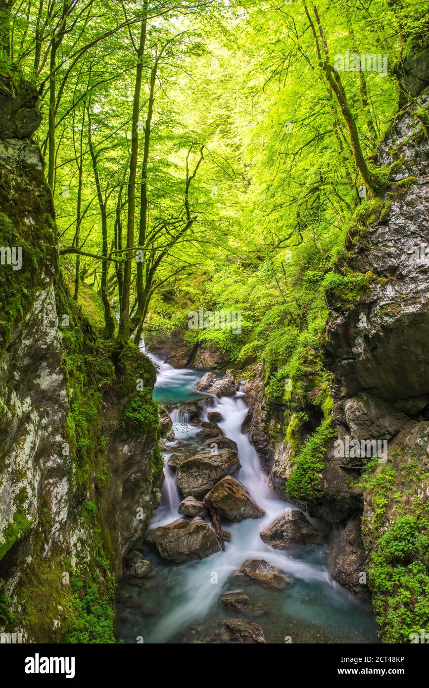 Canyon del Fiume Zadlascanica, Gole di Tolmin, Parco Nazionale del Triglav (Parco Narodni del Triglavski), Slovenia, Europa Foto Stock