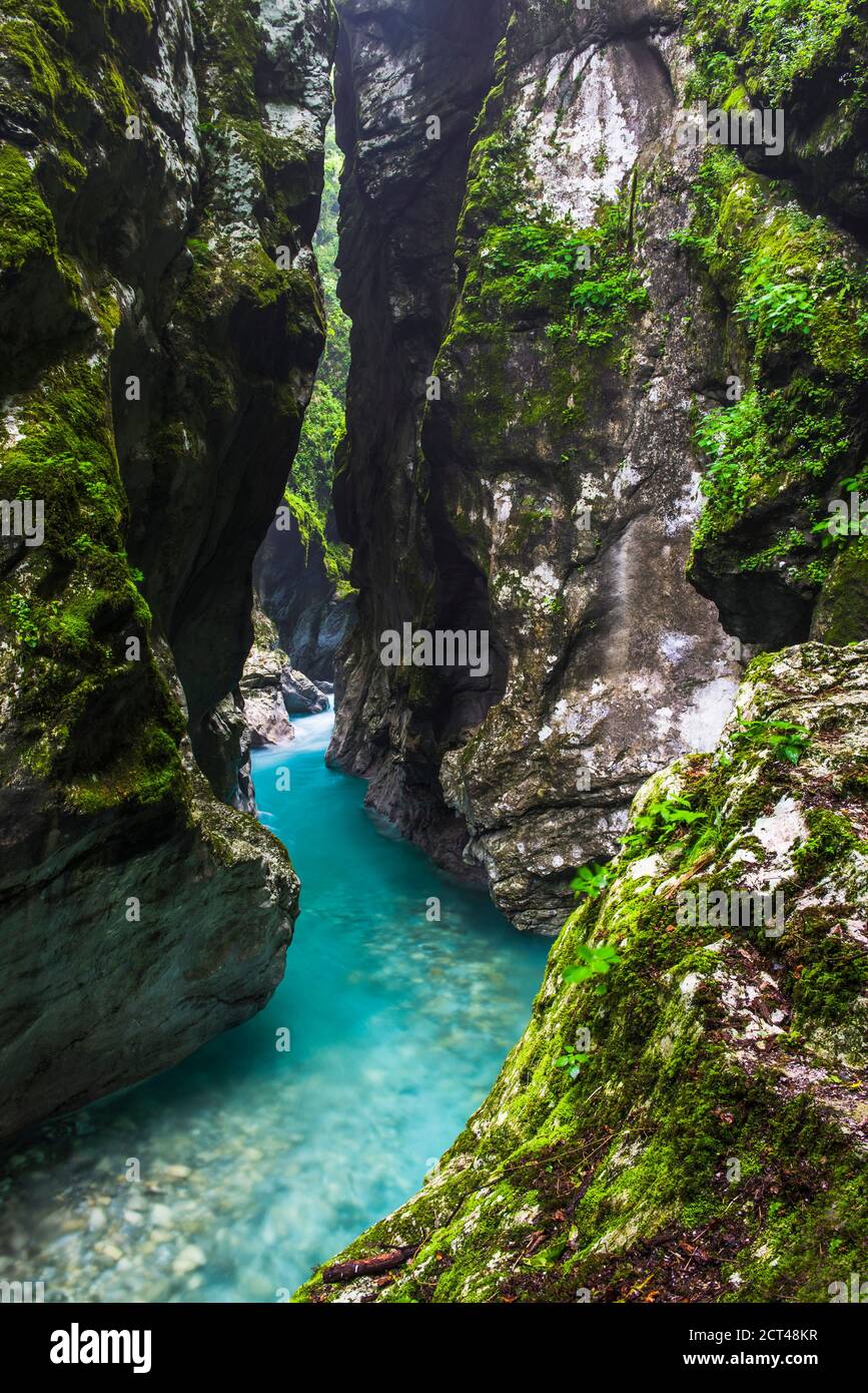 Canyon del Fiume Tolminka, Gole di Tolmin, Parco Nazionale del Triglav (Parco di Triglavski Narodni), Slovenia, Europa Foto Stock