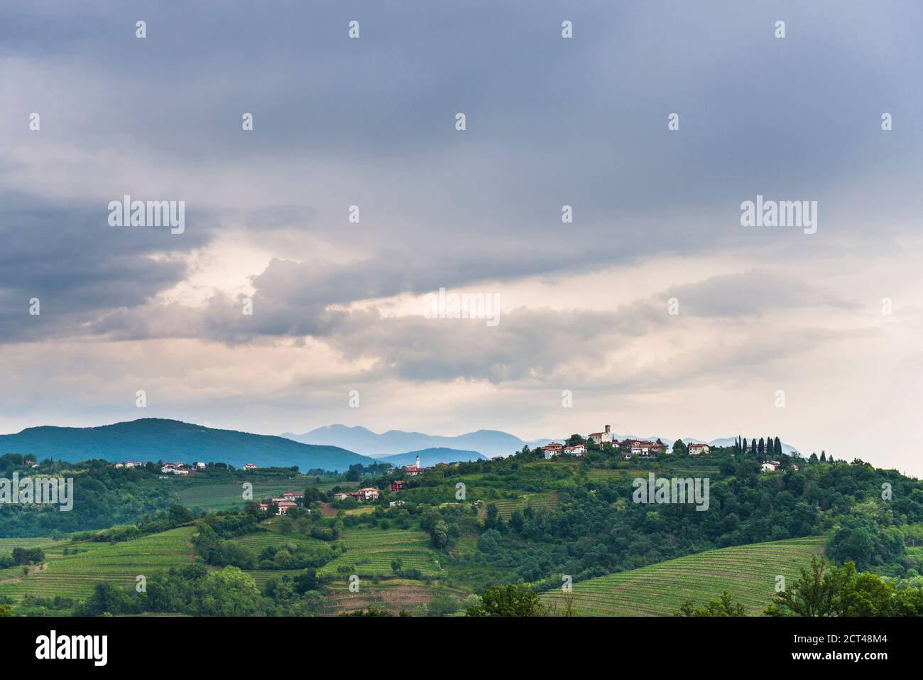 Vigneti di Goriska Brda, con la Chiesa di San Floriano del Collio e la città collinare di Gornje Cerovo, Goriska Brda, Slovenia, Europa Foto Stock