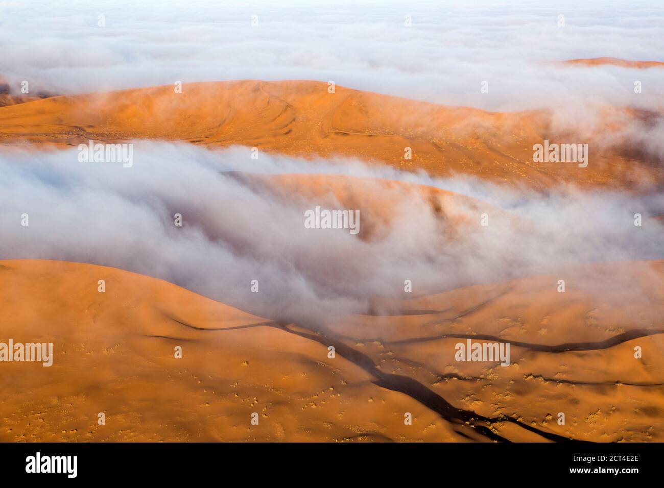 La nebbia si trova sulla cima delle dune ricche di ossido del grande mare di sabbia in Namibia. Foto Stock