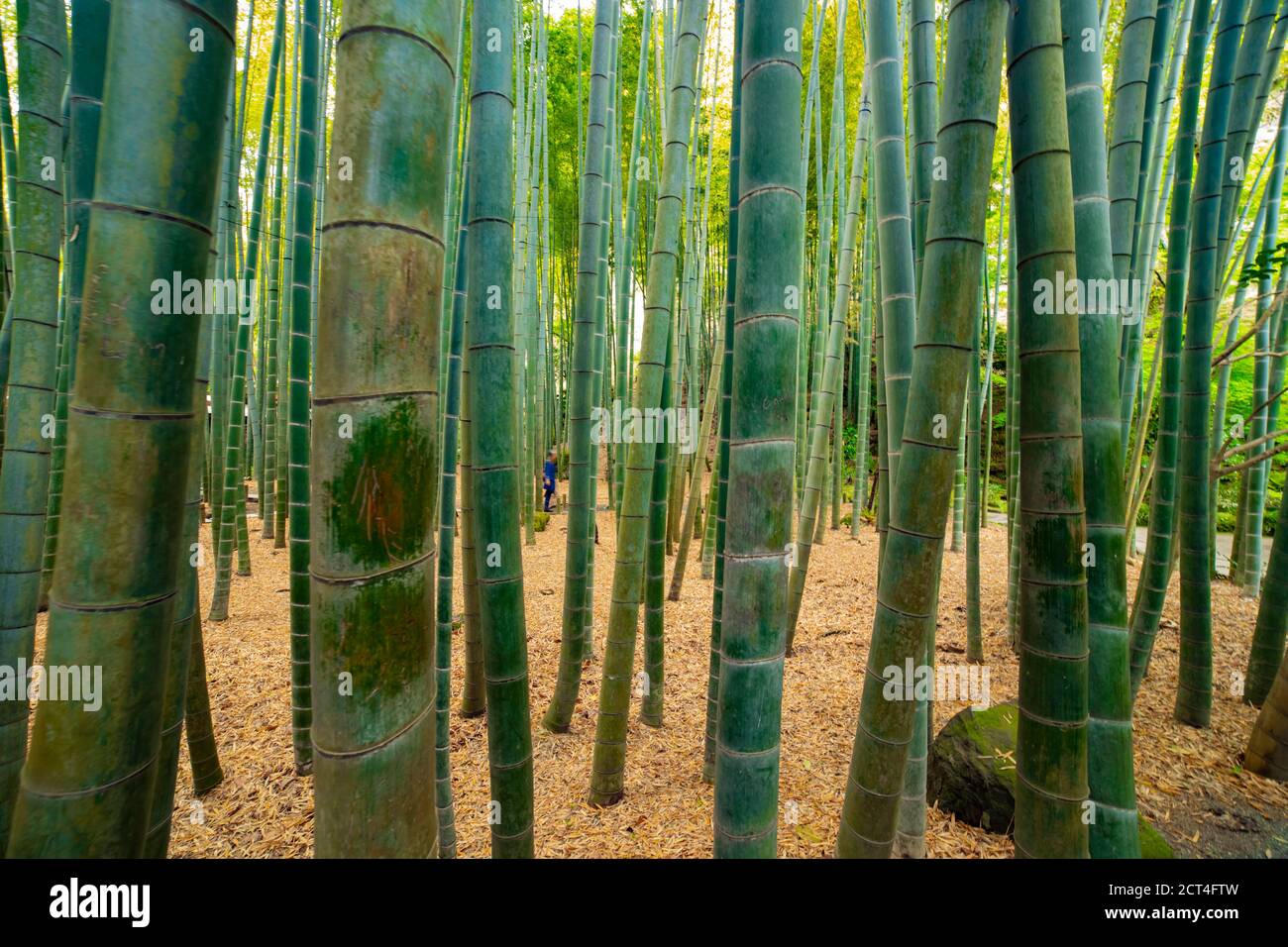 Preghiera Del Mattino 6 Agosto 2025 - Foto 12