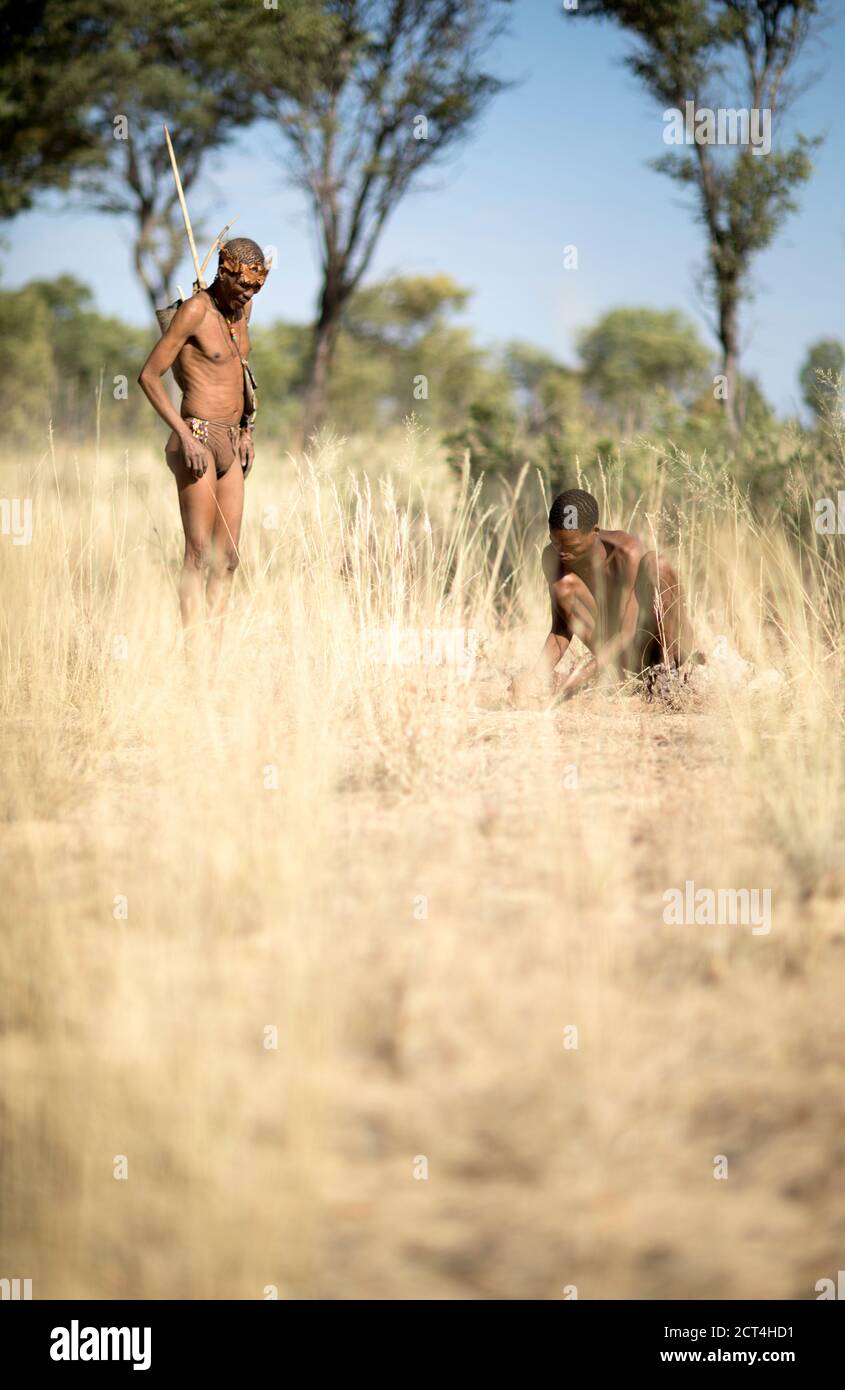 Due persone di San Bush durante una missione di caccia e raccolta a Tsumkwe, Bushmanland, Namibia. Foto Stock