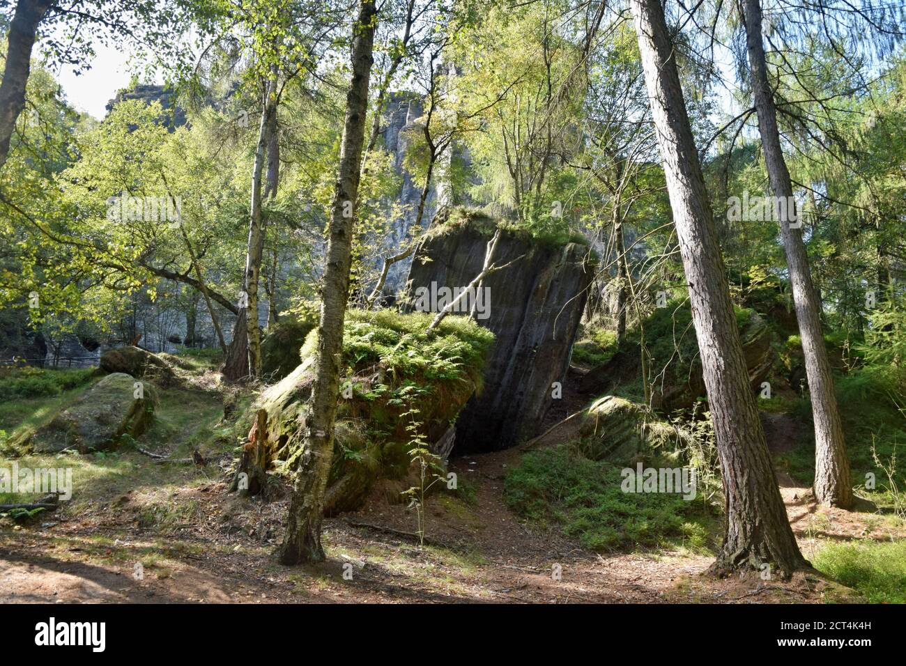 Le rocce di Tisa o pareti di Tisa sono un noto gruppo di rocce nella Svizzera Boema occidentale. E' la regione con colonne rocciose alte fino a 30 m. Foto Stock