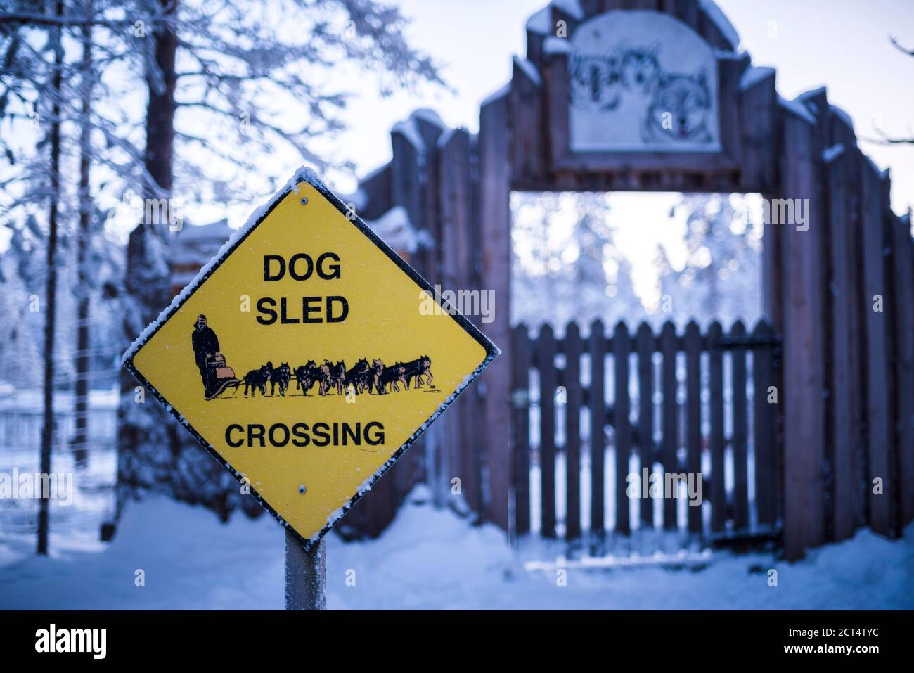 Divertente cane slitta attraversamento segno in Lapponia, Arctic Circle, Finlandia, Europa Foto Stock