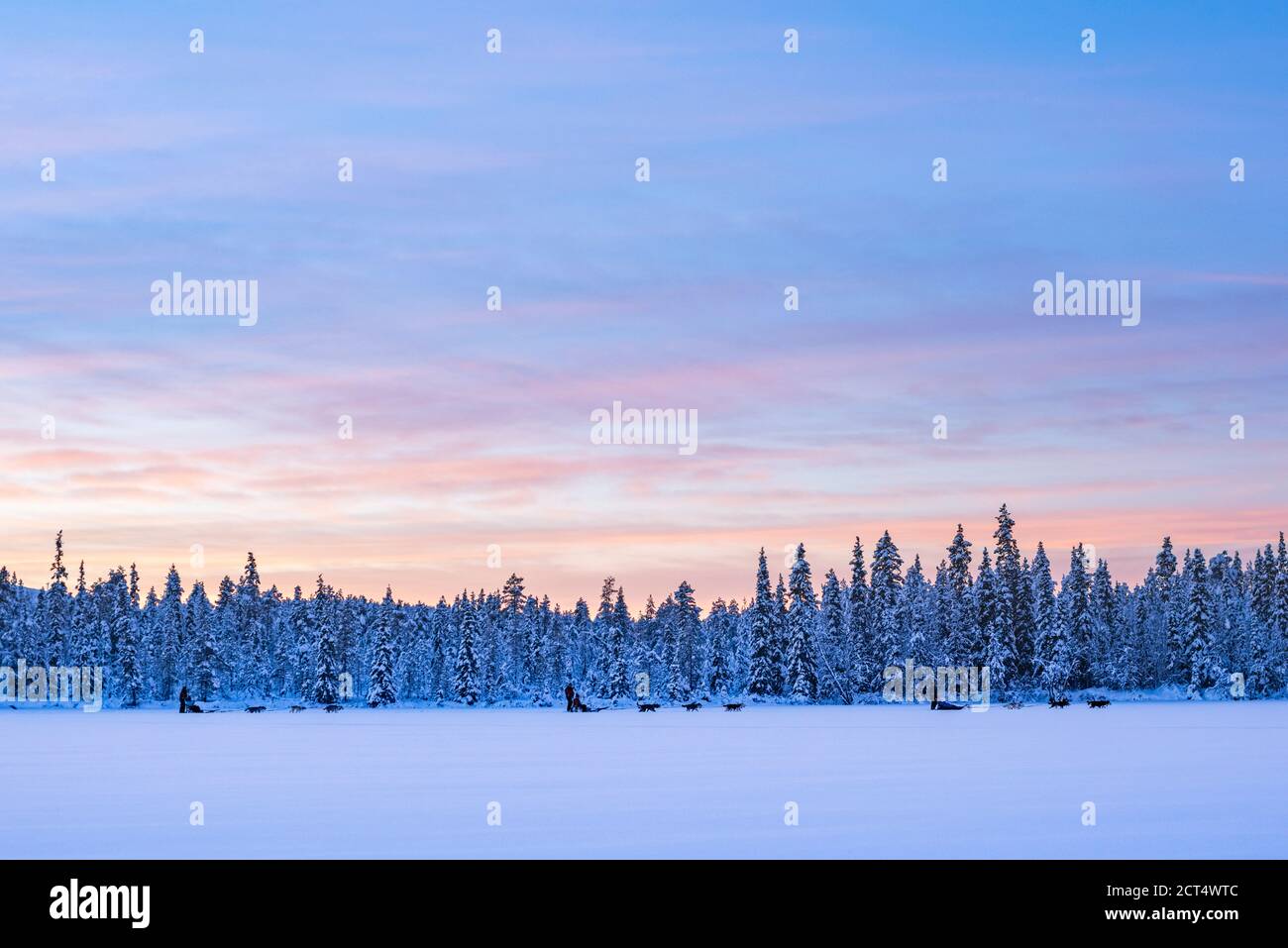 Torassieppi paesaggio invernale sul lago ghiacciato al tramonto, Lapponia, Finlandia Foto Stock