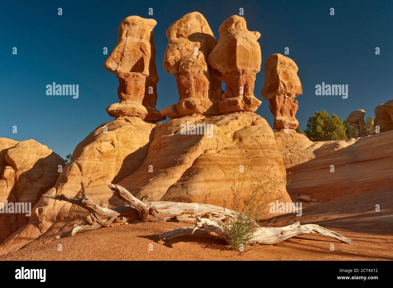 Hoodoos al Giardino del Diavolo a grande scala Escalante National Monument, Colorado Plateau, Utah, Stati Uniti d'America Foto Stock