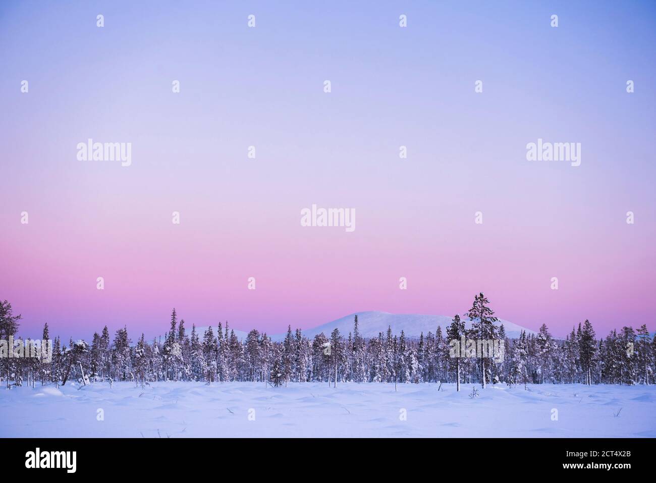Lago ghiacciato coperto di neve nel paesaggio invernale in Lapponia Al tramonto all'interno del Circolo polare Artico in Finlandia Foto Stock