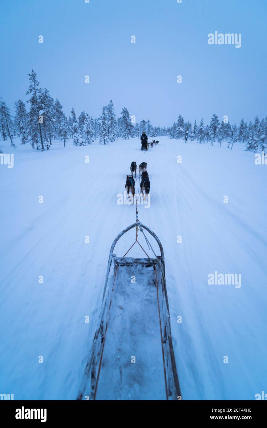 L'avventura in slitta trainata da cani Husky in vacanza su un ghiaccio ghiacciato Lago innevato in inverno nella Lapponia paesaggio in Una foresta in Finlandia Foto Stock