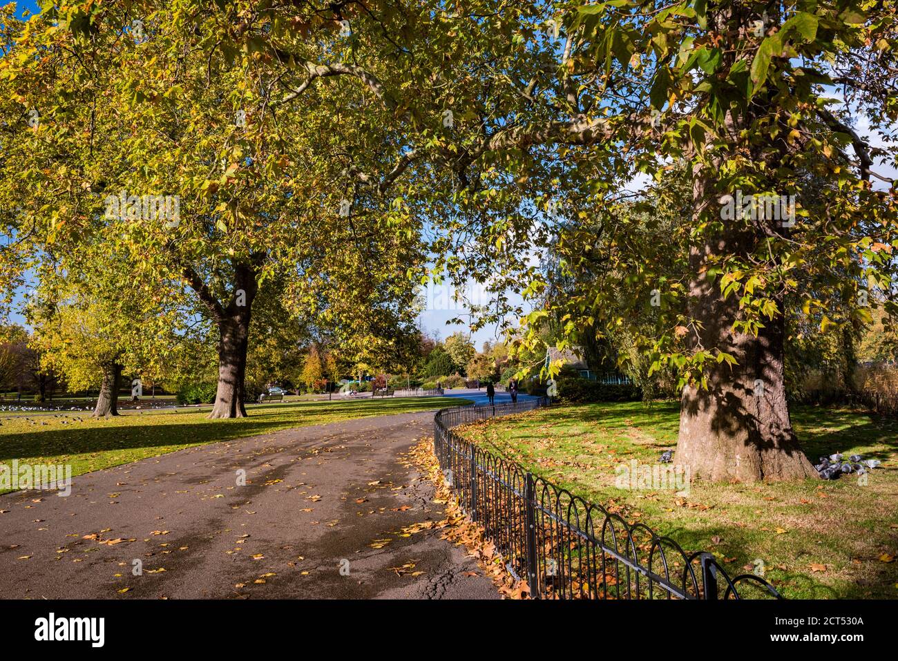 Autunno a Regents Park, uno dei parchi reali di Londra, Inghilterra Foto Stock