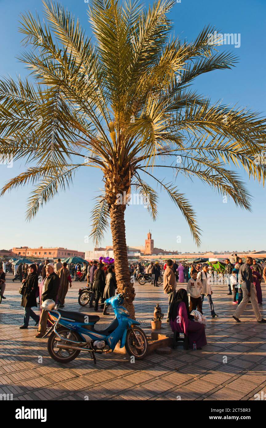 Place Djemaa El Fna è famosa in tutto il mondo per la sua atmosfera vivace. Ogni centimetro dell'iconica piazza di Marrakech brulica di vita. Place Djemaa El Fna è frenetico, emozionante e scoppiare al ritmo di artisti di strada, musica, giochi e intrattenimento. Ogni sera si allestiscono delle bancarelle di cibo temporaneo nella suare e si keeeo la festa che va a lungo nella notte. La Moschea di Koutoubia come sfondo è la ciliegina sulla torta, rendendo Djemaa El Fna uno dei luoghi più accadendo al mondo. Foto Stock