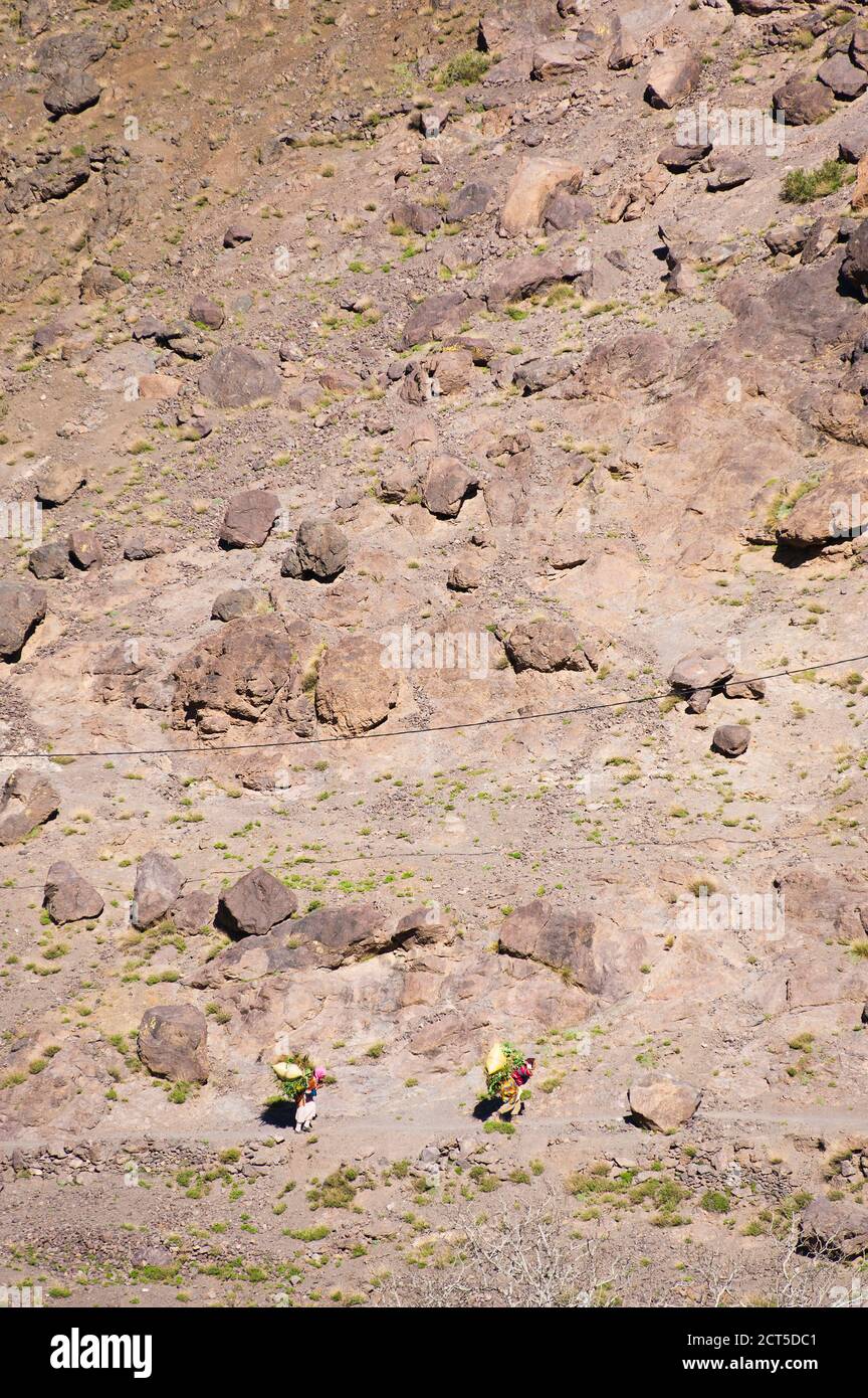 Donne berbere che trasportano i raccolti nelle montagne dell'Alto Atlante, Marocco, Africa del Nord, Africa Foto Stock