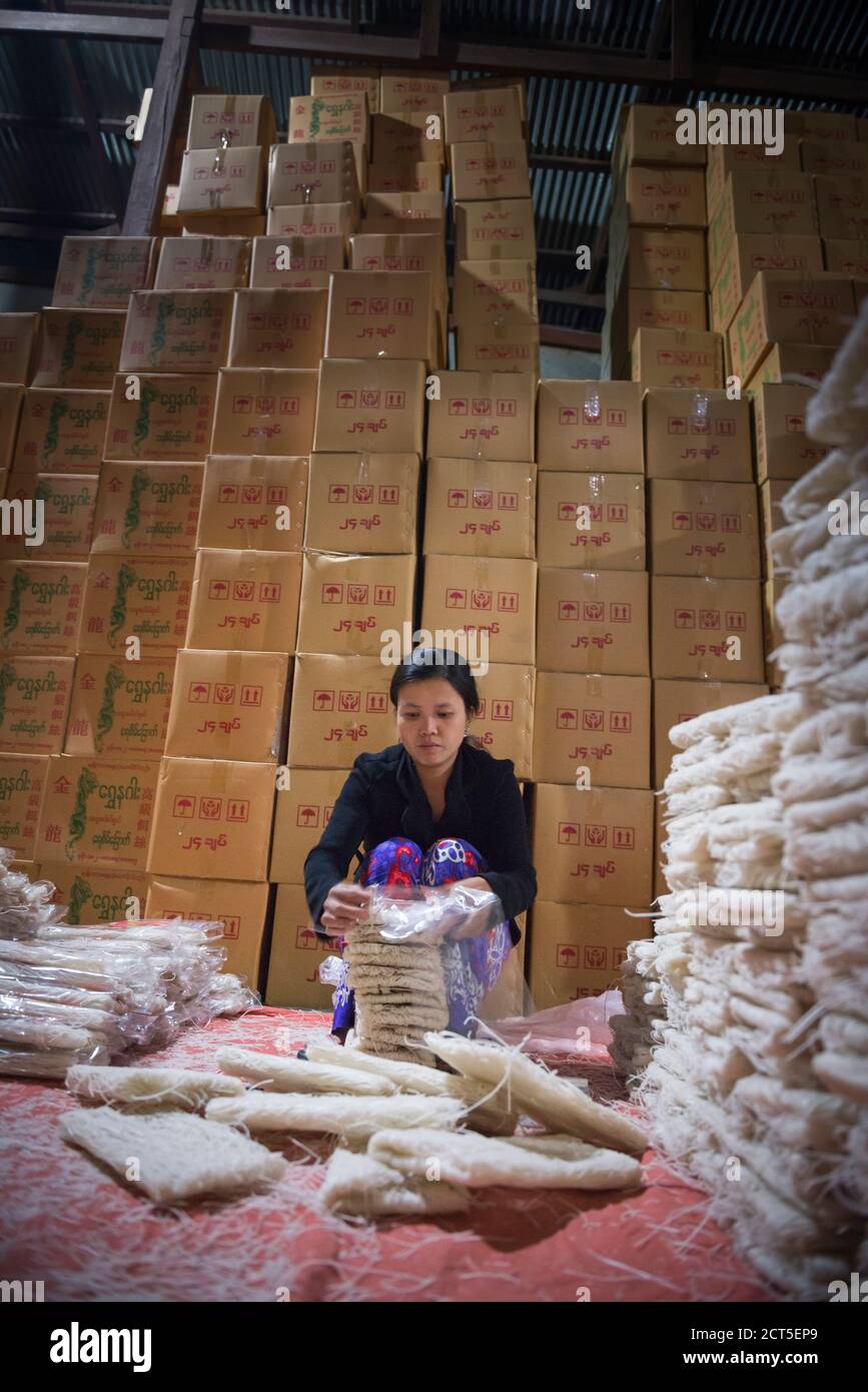 Fare noodle in una fabbrica di noodle di notte a Hsipaw (Thibaw), Shan state, Myanmar (Birmania) Foto Stock