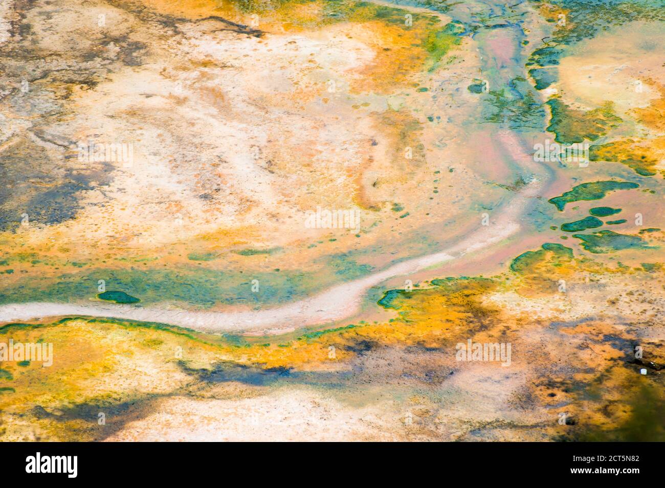 Area geotermica colorata presso il Parco Termale Orakei Korako, la Valle nascosta, Isola del Nord, Nuova Zelanda Foto Stock