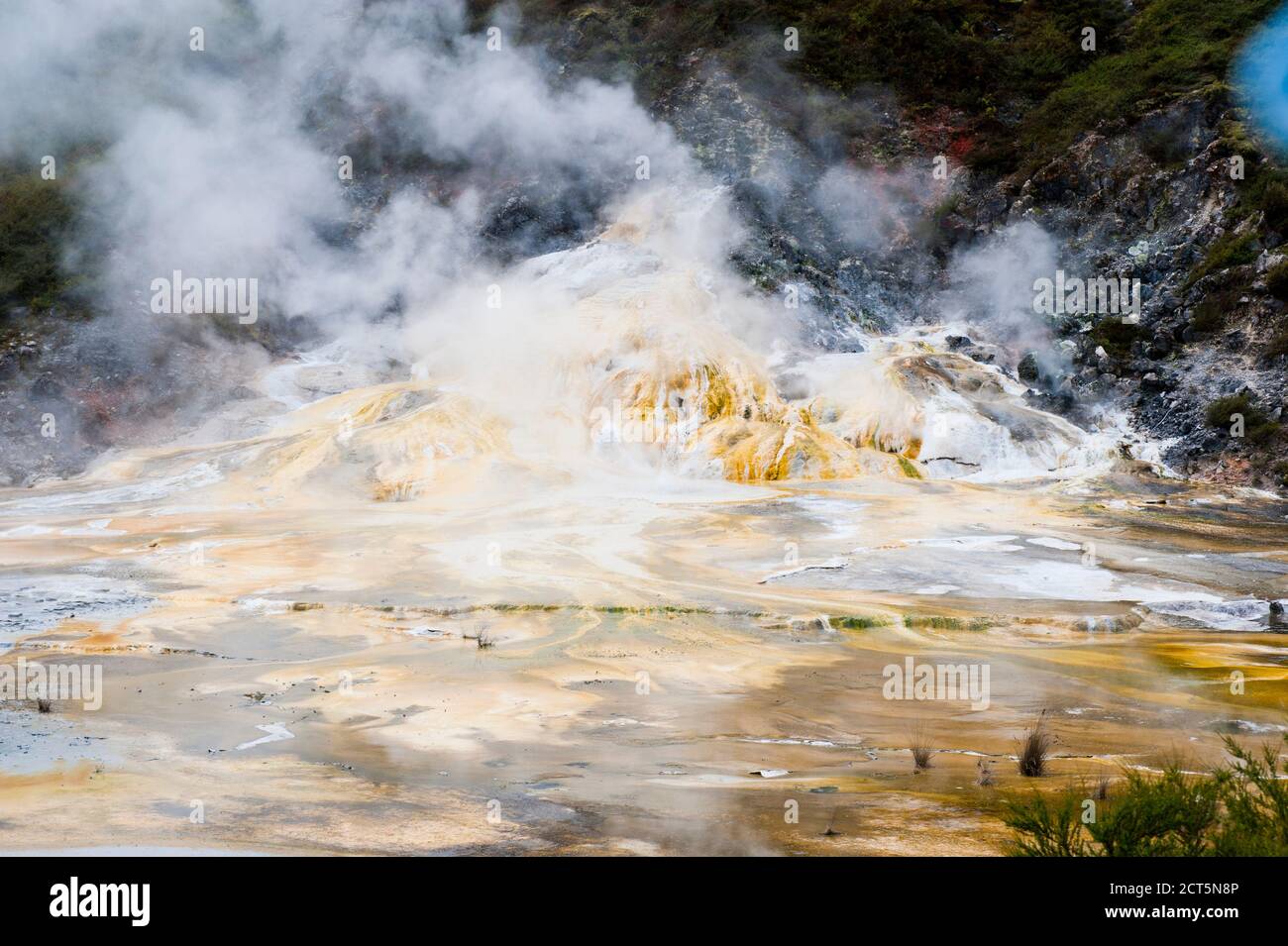 Area geotermica a vapore al Parco Termale Orakei Korako, la Valle nascosta, Isola del Nord, Nuova Zelanda Foto Stock
