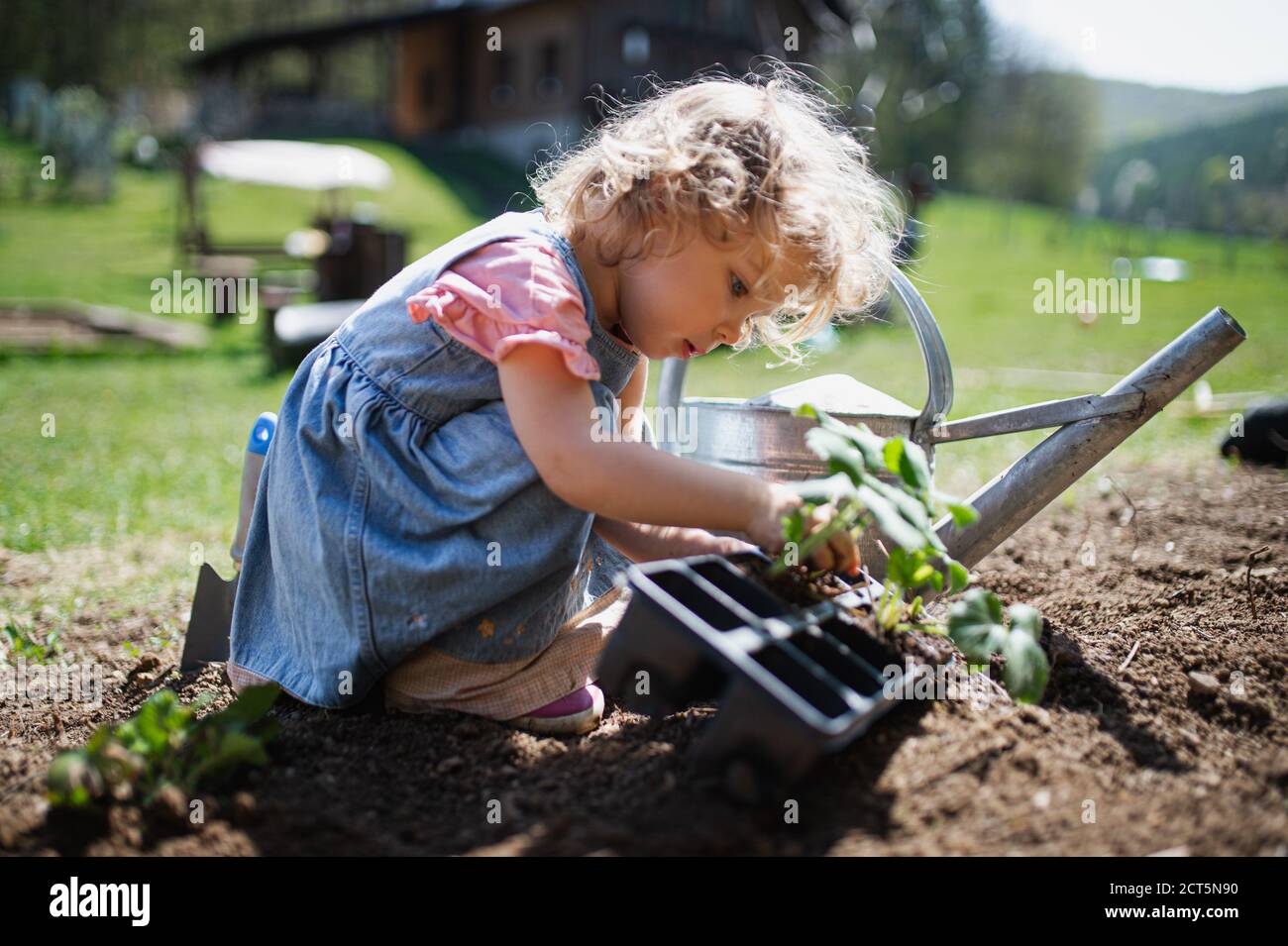 Piccola ragazza che piantano all'aperto in giardino, concetto di stile di vita sostenibile. Foto Stock Piccola ragazza che piantano all'aperto in giardino, concetto di stile di vita sostenibile. Foto Stock