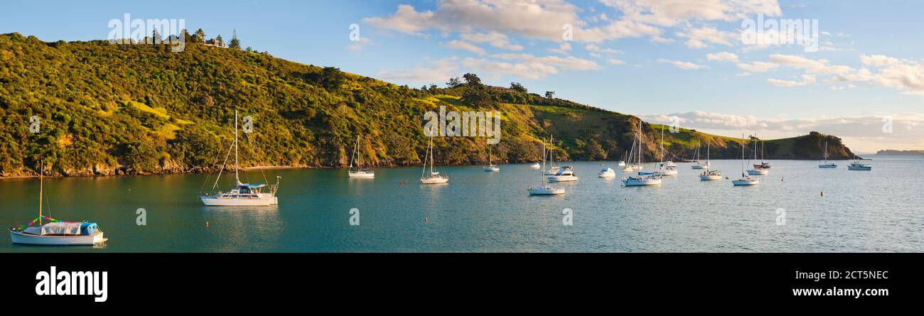 Barche a vela nel porto di Waikeke Island al tramonto, Auckland, Isola del Nord, Nuova Zelanda Foto Stock