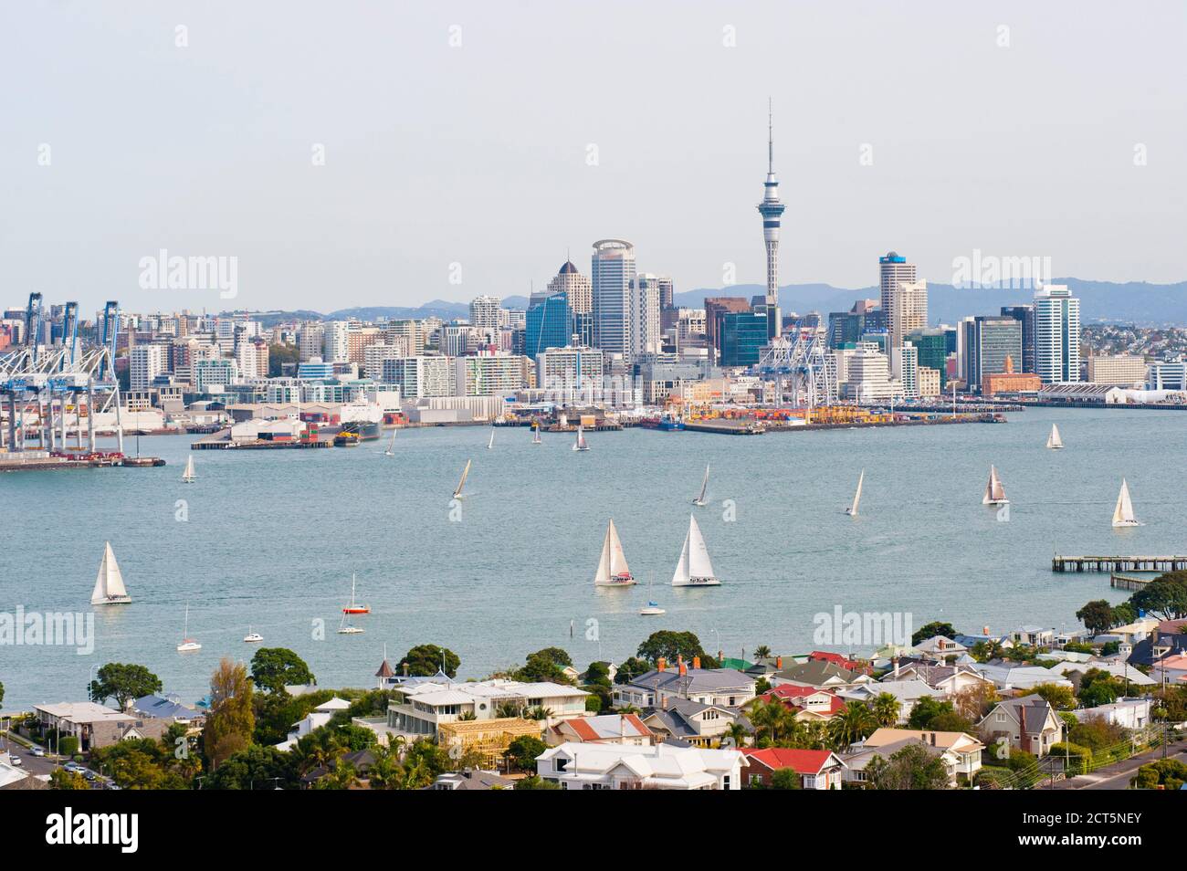 Barche a vela nel porto di Waitemata, Auckland, Isola del Nord, Nuova Zelanda Foto Stock
