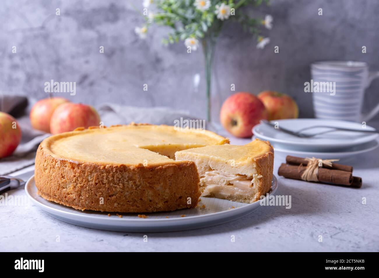 Torta di mele con cannella e panna acida. Cottura fatta in casa. Torta russa tradizionale. Primo piano. Foto Stock