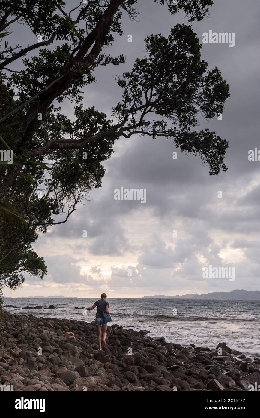 A piedi da New Chums Beach, Coromandel Peninsula, Nuova Zelanda Isola del Nord Foto Stock