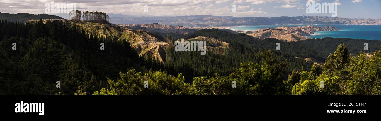 Paesaggio costiero, Regione di Gisborne, Isola del Nord, Nuova Zelanda Foto Stock
