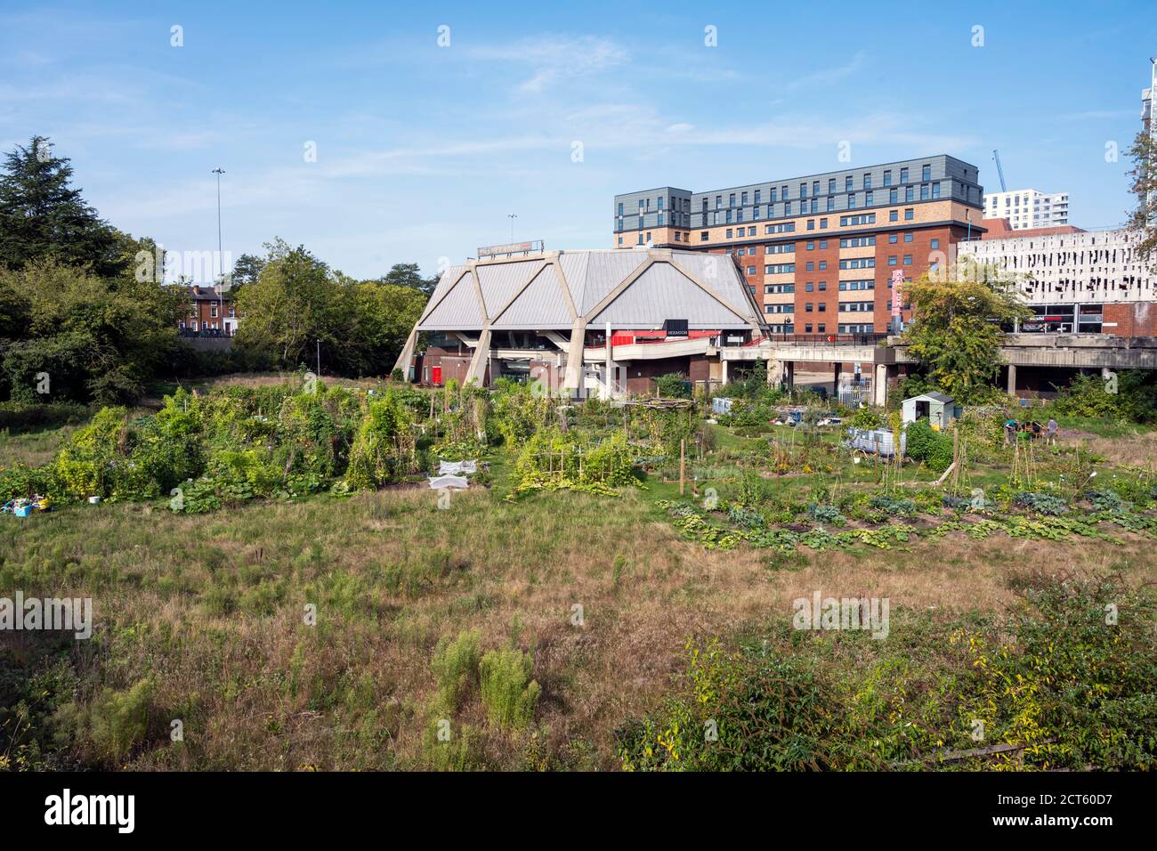 Giardinaggio su terra bonificata, Hexagonn, lettura Foto Stock