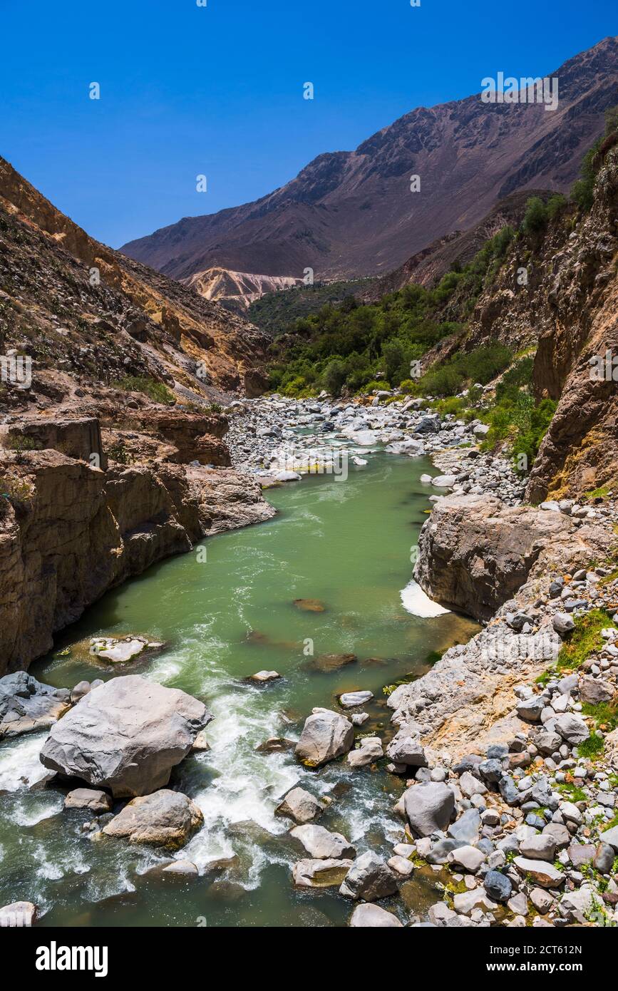 Fiume Colca, Canyon Colca, Perù, Sud America Foto Stock