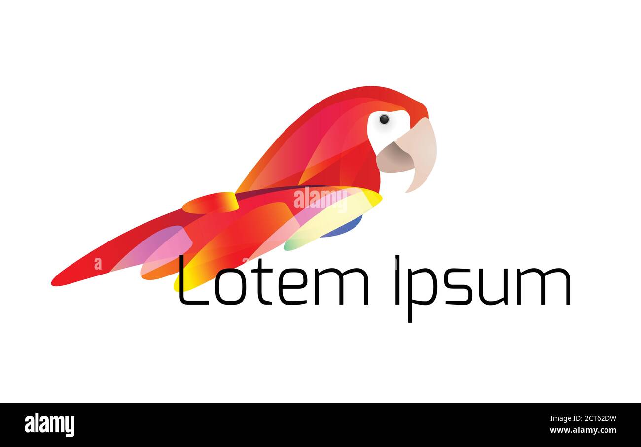 Logo con illustrazione stilizzata di un pappagallo con coda multicolore e posto per i titoli. Elemento vettoriale per le licenze e il progetto Illustrazione Vettoriale