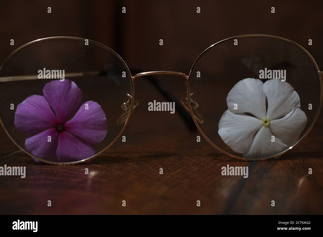 spettacolo d'amore in occhiali Foto Stock