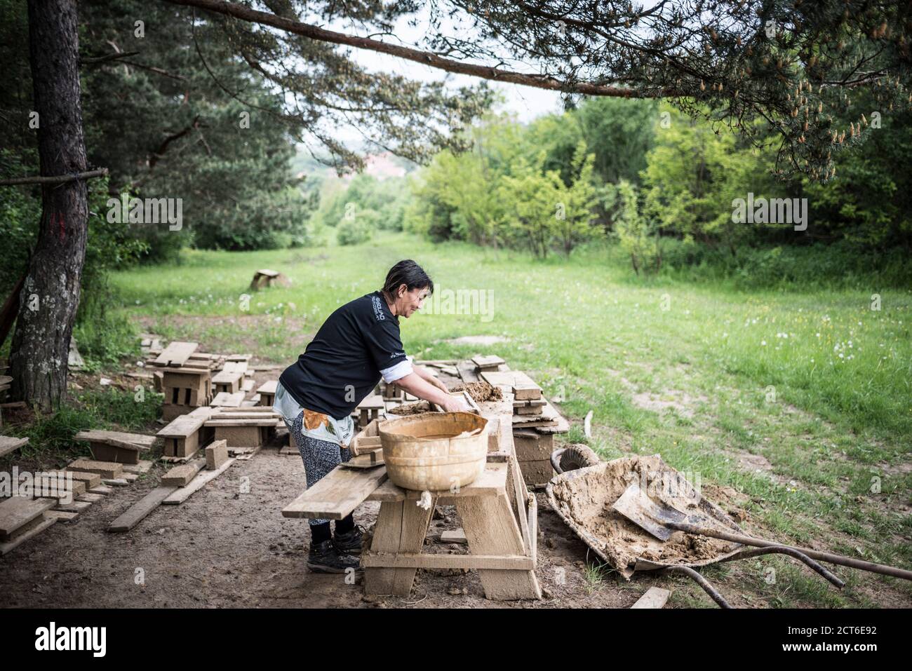 Ritratto di un mattone a Viscri, Transilvania, Romania Foto Stock