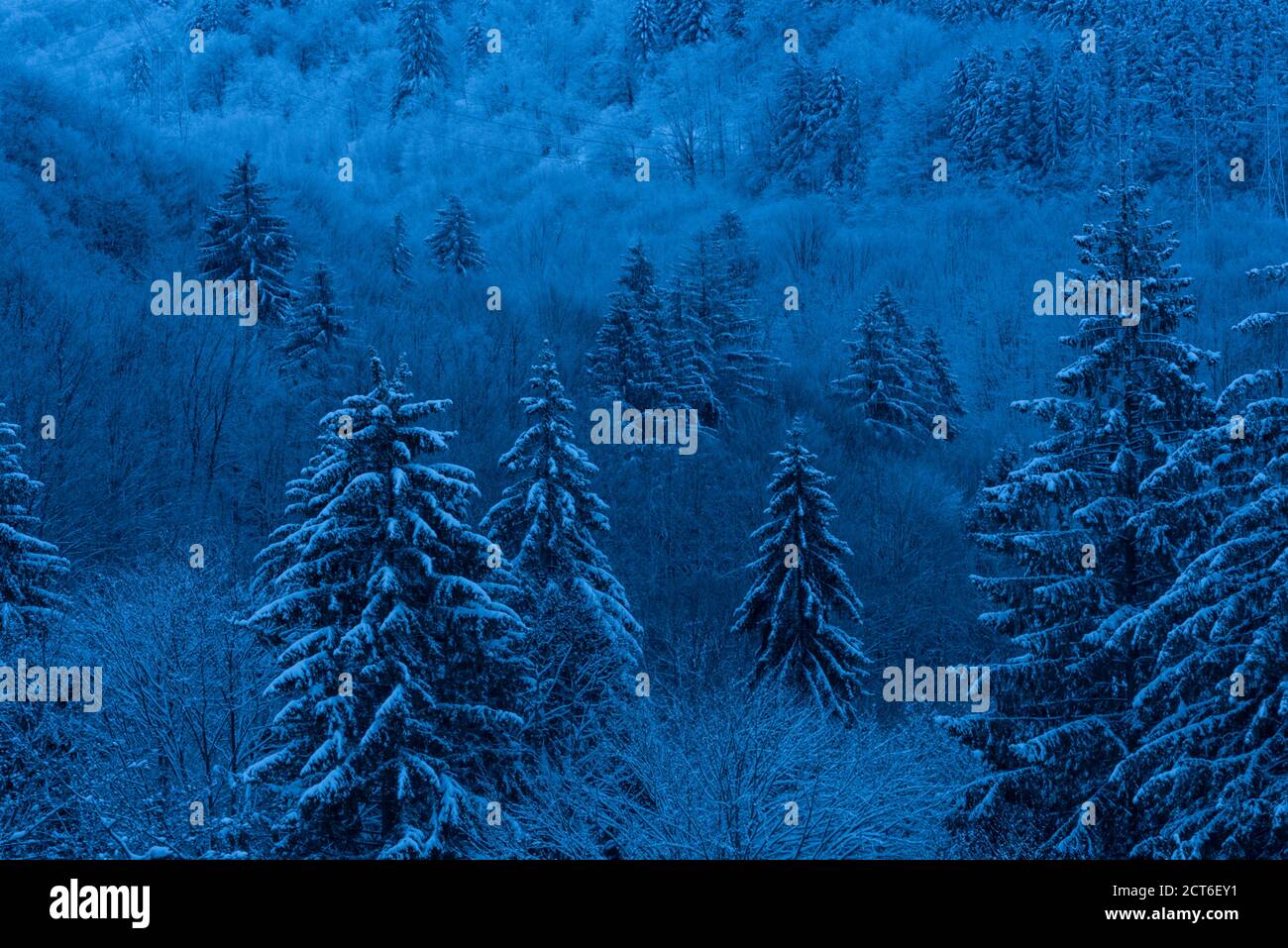 Paesaggi invernali delle montagne dei Carpazi vicino a Brasov, Brasov County, Romania Foto Stock