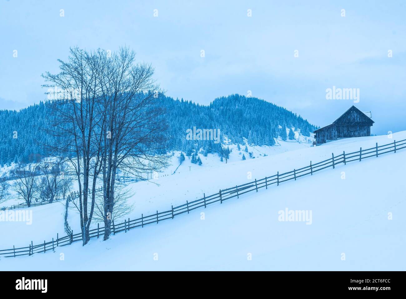 Paesaggio invernale nei pressi di Bran nei Carpazi, Transilvania, Romania Foto Stock