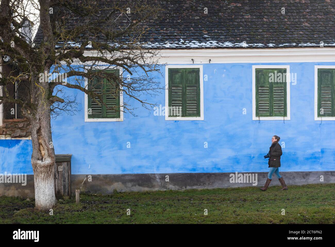 Case colorate a Viscri, Patrimonio dell'Umanità dell'UNESCO, Transilvania, Romania Foto Stock