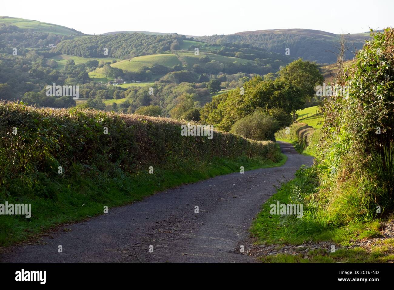 Carmarthenshire paesaggio rurale in autunno settembre 2020 Galles UK KATHY DEWITT Foto Stock