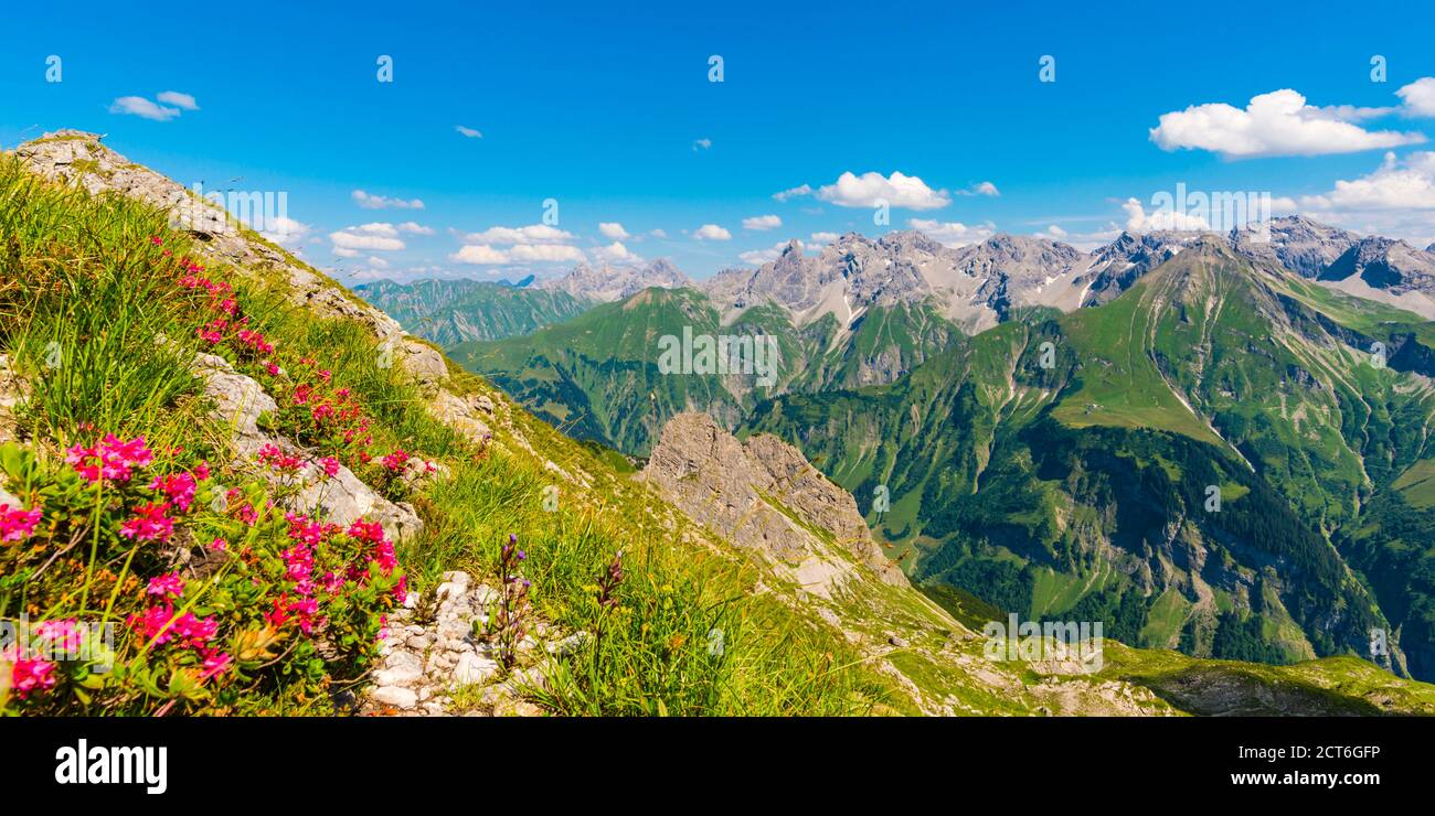 Bergpanorama vom Krumbacher Höhenweg zum Allgäuer Hauptkamm, Allgäu, Allgäuer Alpen, Bayern, Deutschland, Europa Foto Stock