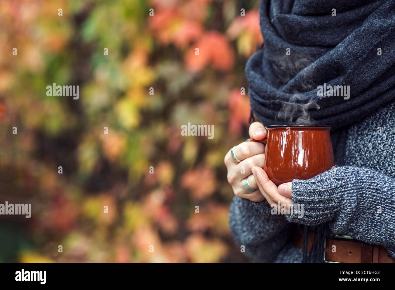 Tazza di caffè o tè in mani femminili nel parco autunnale. Autunno (autunno) umore, accogliente, amore e romanticismo concetto. Spazio di copia Foto Stock